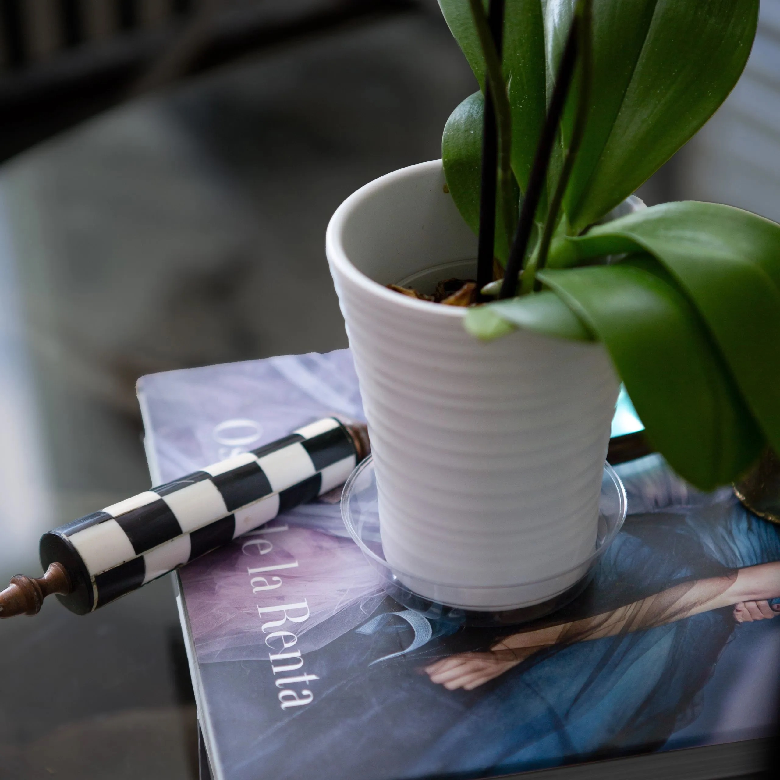 Vinyl Plant Saucer 4″ – Clear